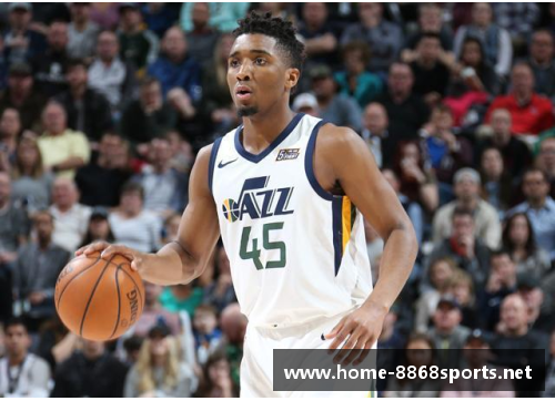 NBA球队全面解析：历史、球员与战绩一网打尽